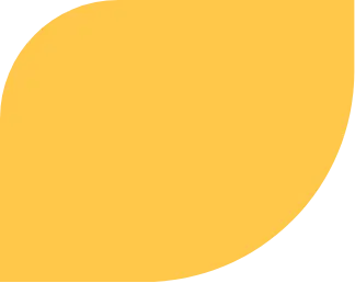 a yellow design for website - solatrue