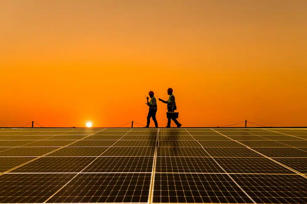 engineers walking on solar panels